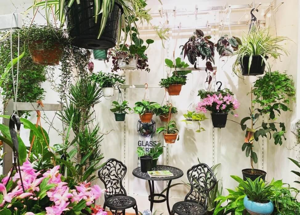 Indoor planters