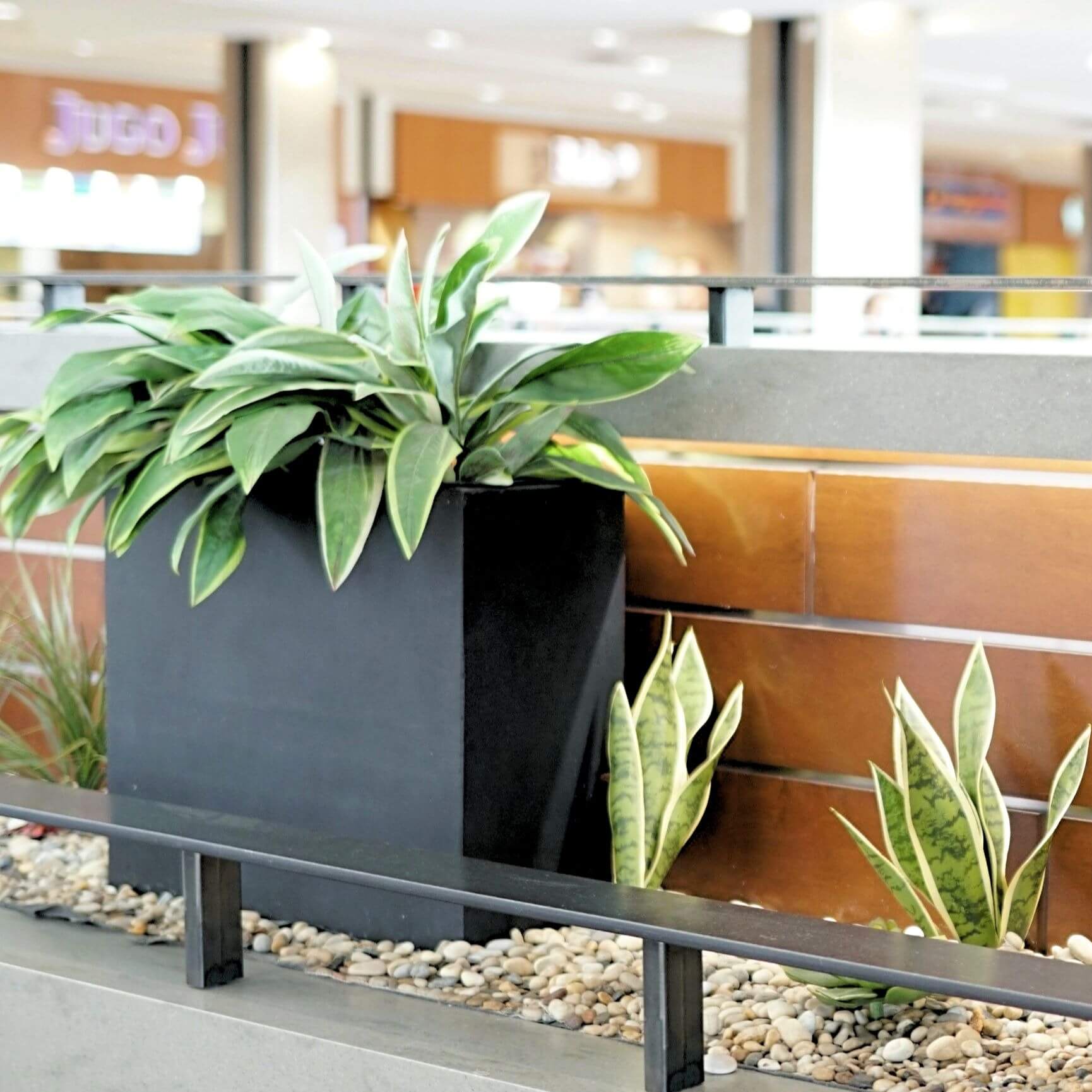 Planter box at Kingsway