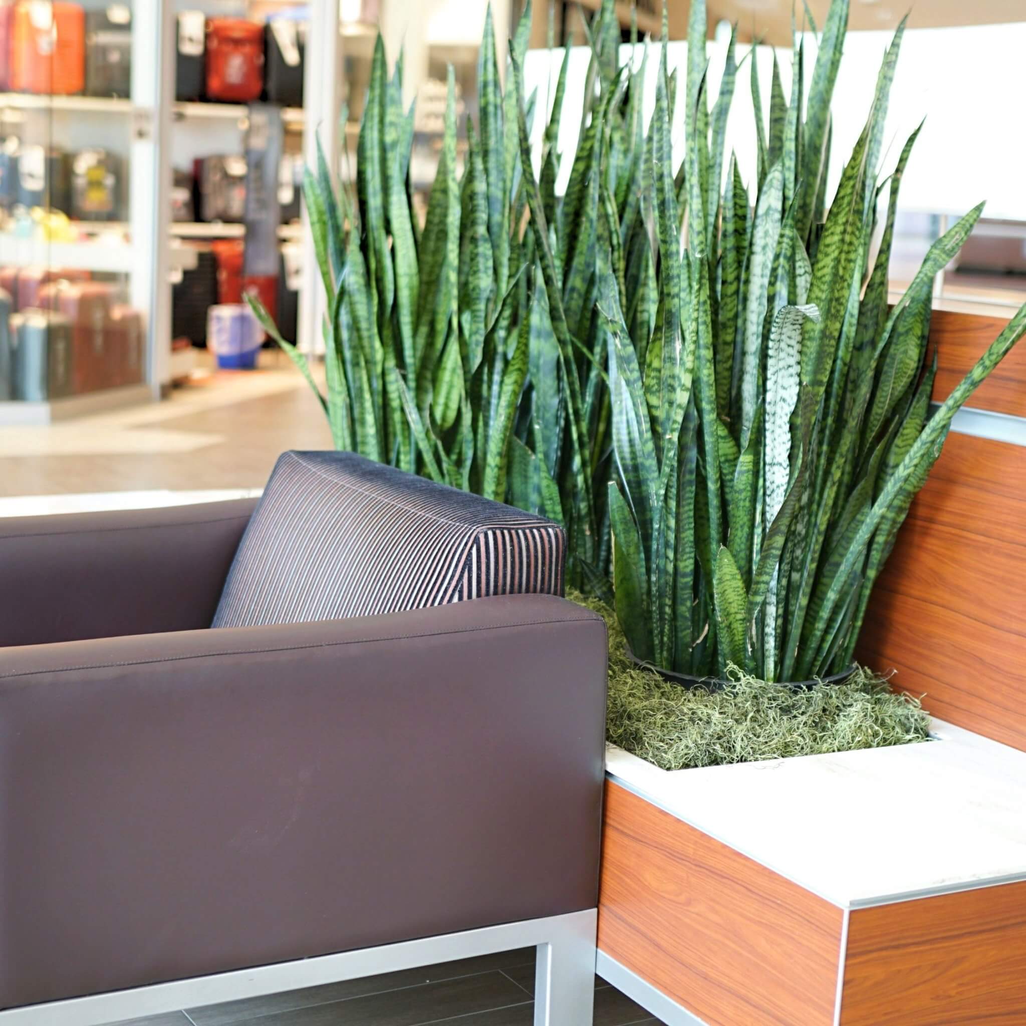 Planter box and chair